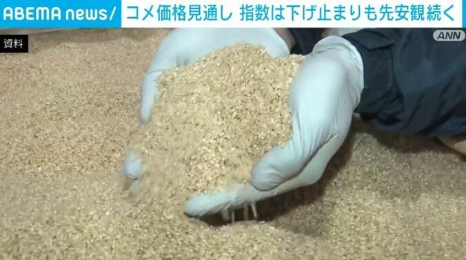 コメの資料画像