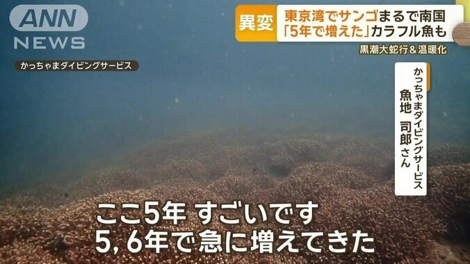 「5、6年で急に増えてきた」