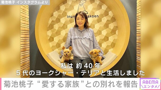 菊池桃子と愛犬