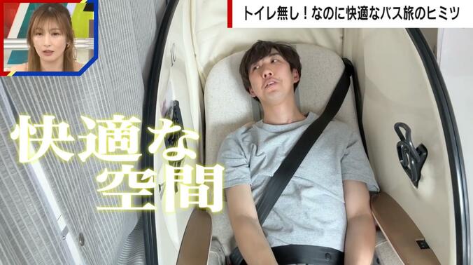 シェル型シート