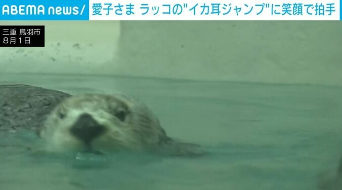 ラッコ