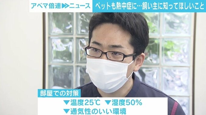 ペットも熱中症になる…重要なのは飼い主の意識 「ペットについて知って、常日頃から健康管理を」 3枚目
