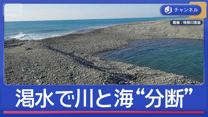 渇水で川と海が分断　“日本一美味しいアユ”危機 1枚目