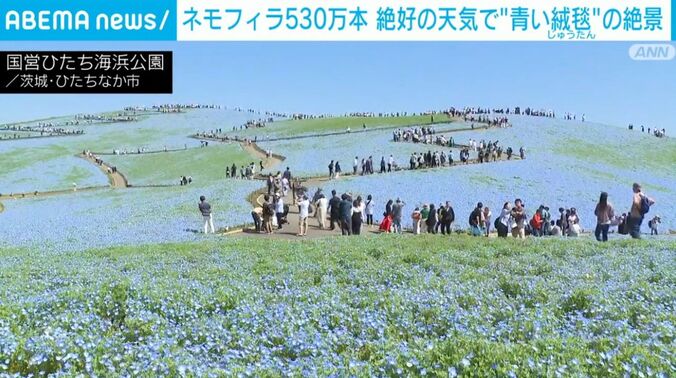 国営ひたち海浜公園