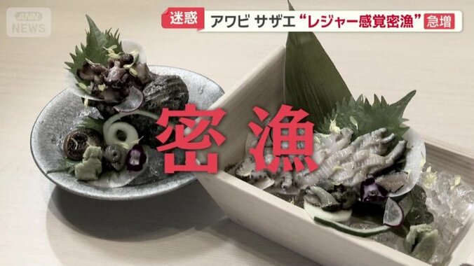 アワビやサザエに忍び寄る“魔の手”