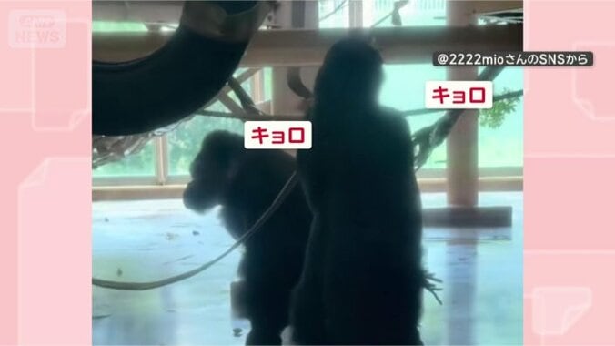 周りをチェック