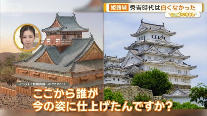 秀吉が城主だった時代とは異なる姿