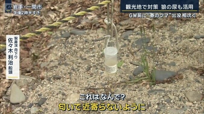 オオカミのおしっこ