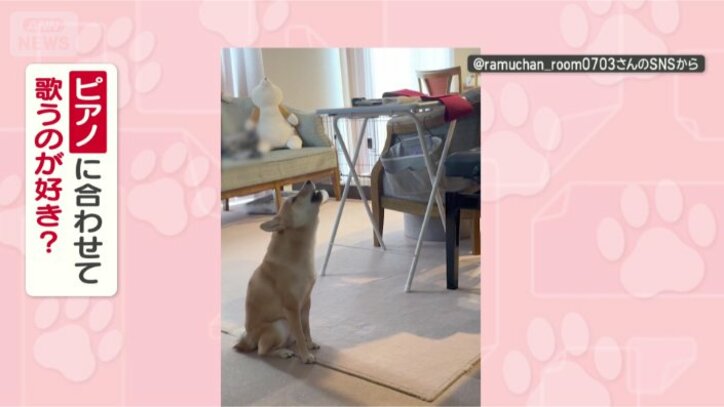 なぜ熱唱するの？