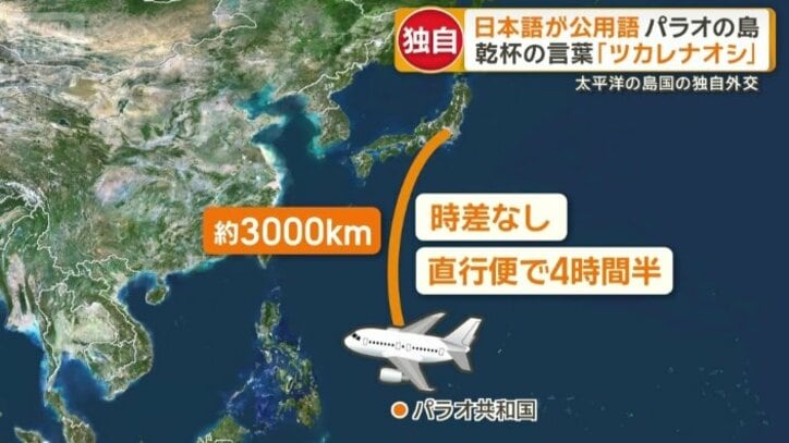 日本から南へ約3000キロのパラオ共和国