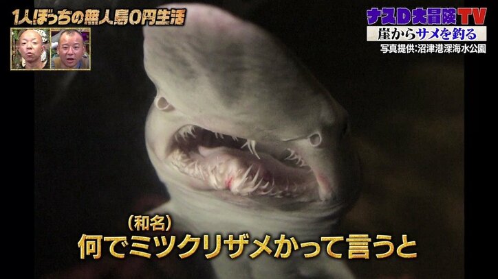 「なんで知ってるの?」ナスD、知識が豊富すぎる! サメ肉を食べ続けた金メダリストの“伝説”語る