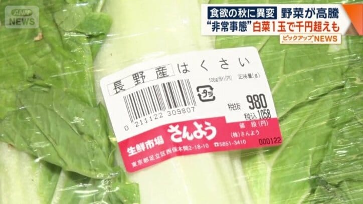 1玉1058円のハクサイ