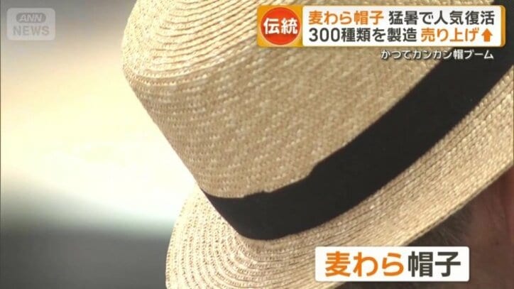 暑さ対策として再び注目