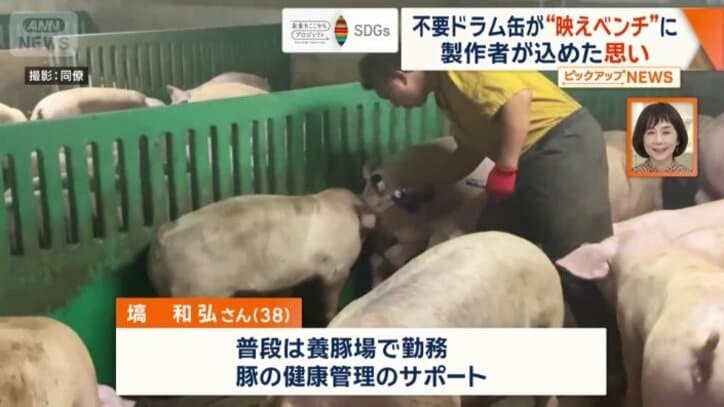 普段は、ブタの健康管理のサポートをしている