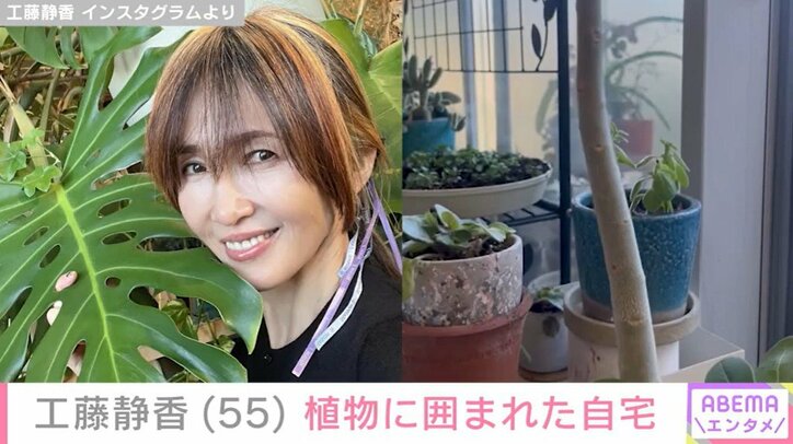 植物に囲まれた自宅