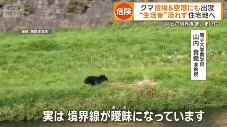 「実は境界線が曖昧（あいまい）に」