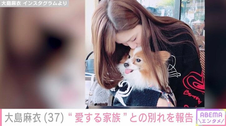 【写真・画像】大島麻衣、16歳の愛犬との別れを報告「本当に誇らしい私の自慢の息子」　1枚目