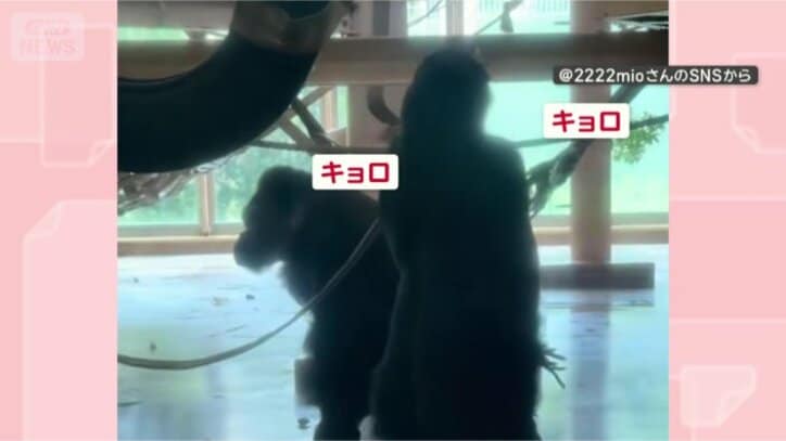 周りをチェック
