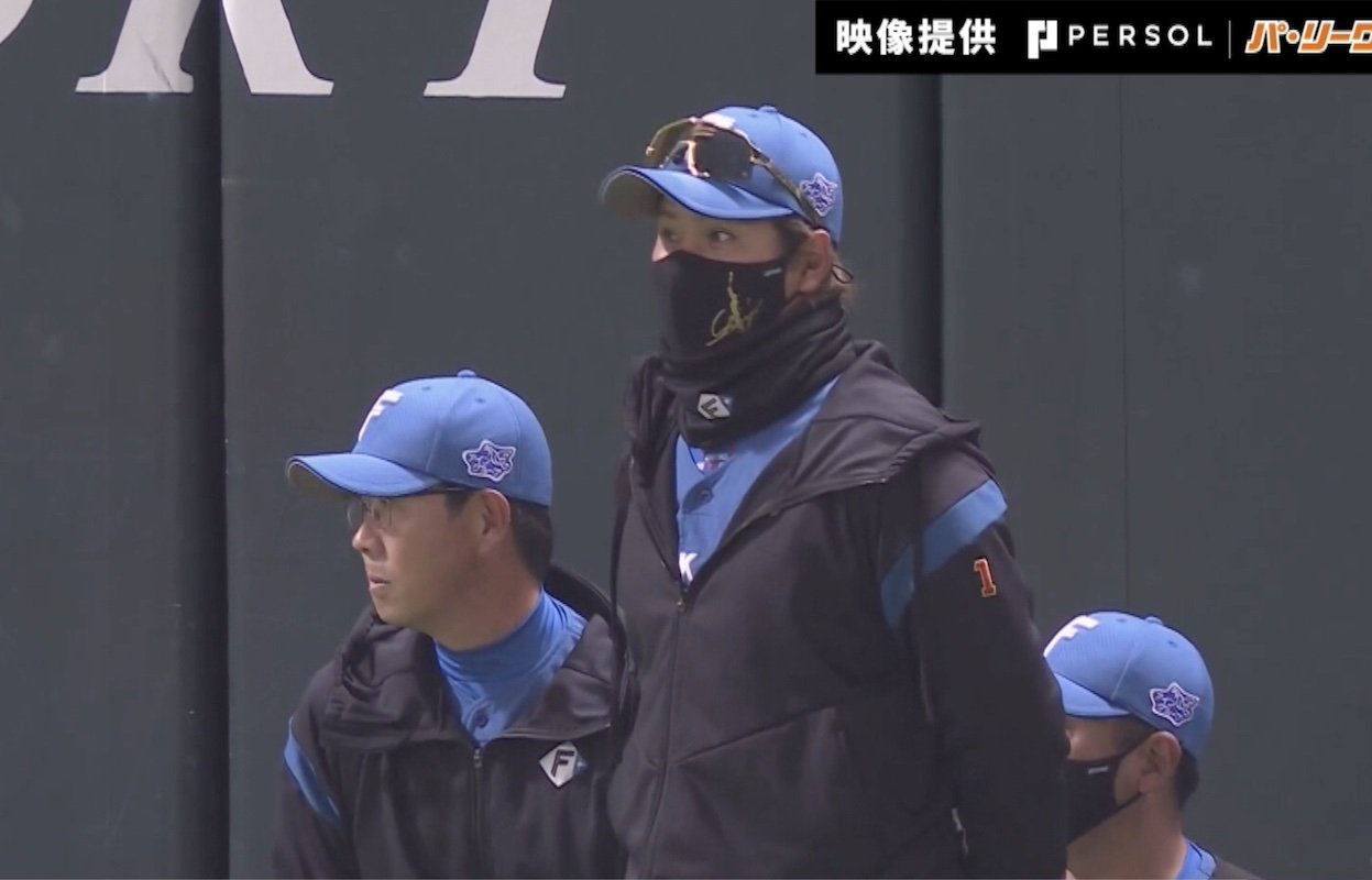パ・リーグ審判 帽子 ジャンパー (NPB審判、プロ野球審判) （球場騒然 