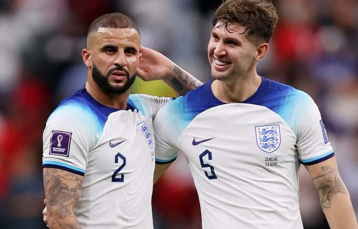 こんなことある？カタールW杯でイングランド代表と出会った野良猫が