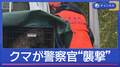 クマが不明者捜索中の警察官“襲撃”　大都市でも目撃相次ぐ
