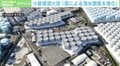 原発処理水、海洋放出で魚や貝類はどうなる?「海洋水以外も同時進行で調査を」