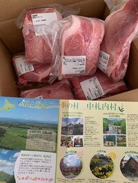 紺野あさ美『使えるふるさと納税 （北海道 中札内村）』