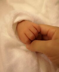 蛯原英里『ご報告』