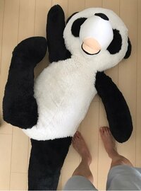 ゴールデンボンバー 樽美酒研二『パートナー解消』