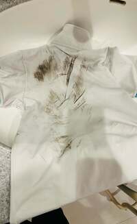 ココリコ遠藤嫁『なんで?』