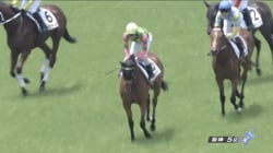「怪物だろ」“キタサン産駒”新馬、デビュー戦でみせた衝撃レースにファンざわつく「えぐい脚」「桜が見えた」