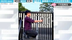 縞模様がバグって見える「目がぁ〜」な謎視覚効果 スマホを遠ざけると“エグさ”倍増な一流の凄業