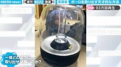 赤ちゃんのいたずらで入りこんだボーロ Twitterの知恵が結集した天才的な取り出し方法