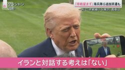 イランとの「停戦望まず」その一方で作戦の「縮小を検討」　トランプ氏の真意は