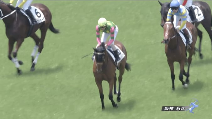【映像】「怪物だろ」“キタサン産駒”新馬の衝撃デビュー戦