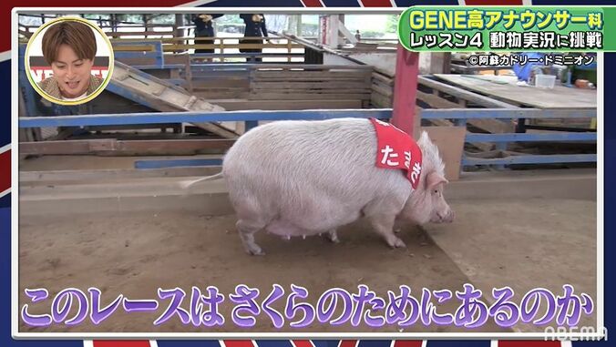 数原龍友、動物実況に挑戦するもただの飼い主目線に「美味しいか？」「かわいい…」 3枚目