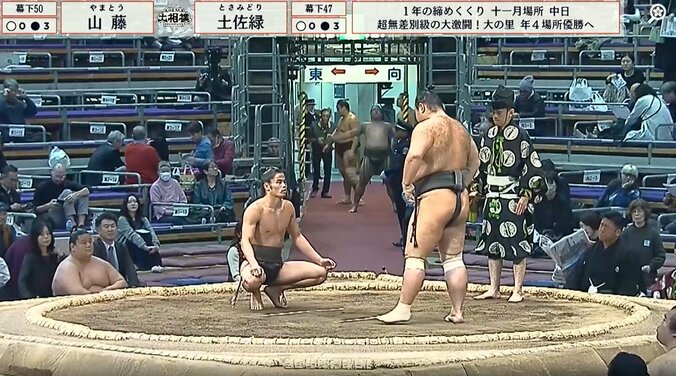 写真左が幕下五十枚目・山藤（出羽海）