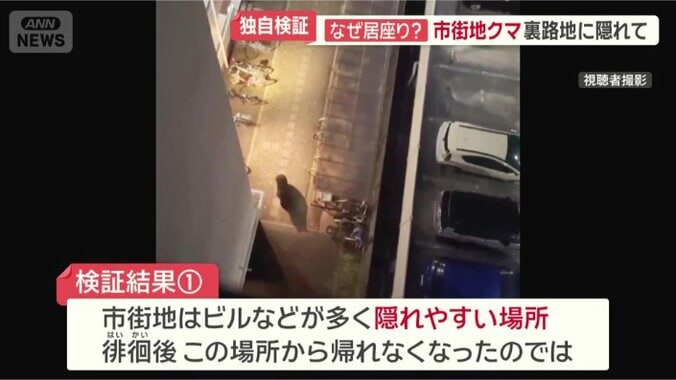 クマにとっては隠れやすい場所