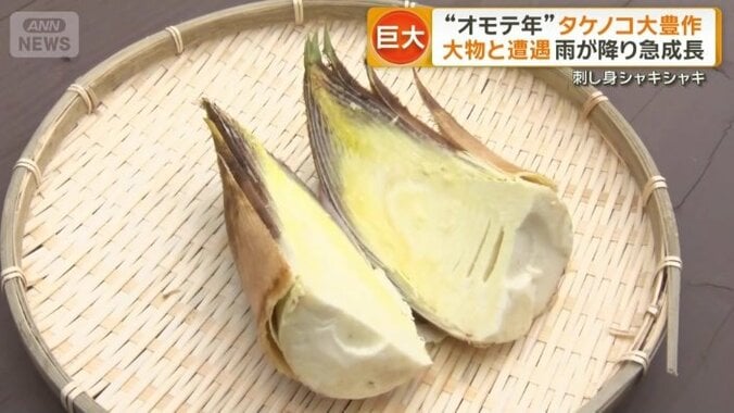 収穫後2時間で“苦み”