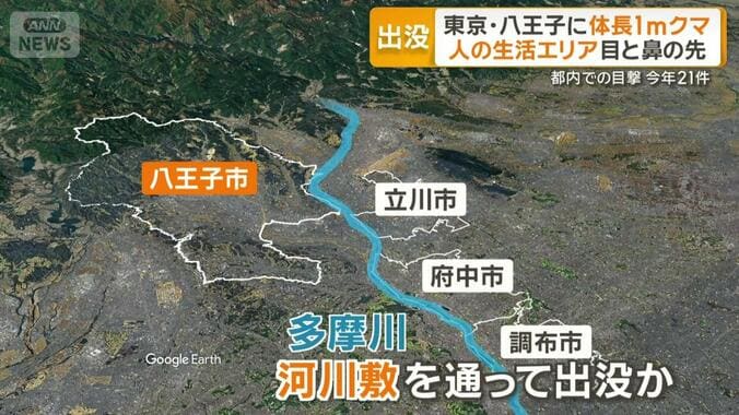 多摩川の河川敷を通って出没か