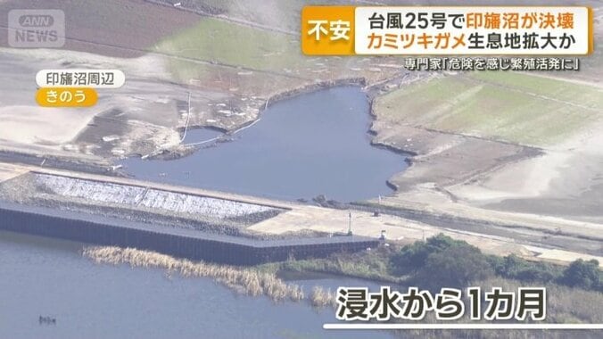 18日の千葉・印旛沼周辺