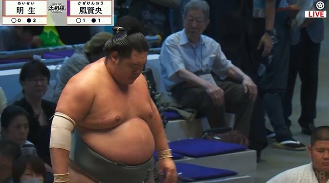 「私には無理」大相撲、花道脇に“背筋ピン”で鎮座する大物の姿にファン驚嘆 「心から相撲が好きなんだな」 3枚目