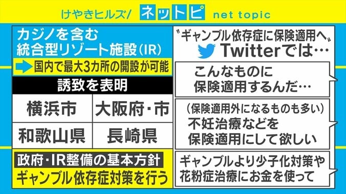 “ギャンブル依存症治療を保険適用”のニュースにSNSで批判の声「不妊治療などを保険適用に」「少子化対策や花粉症治療にお金を」 2枚目