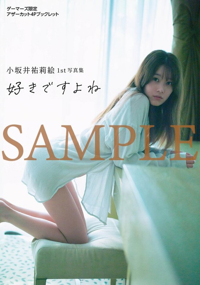 ゲーマーズ特典:A5サイズ4Pブックレット