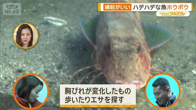 味を感じる細胞がついているとも