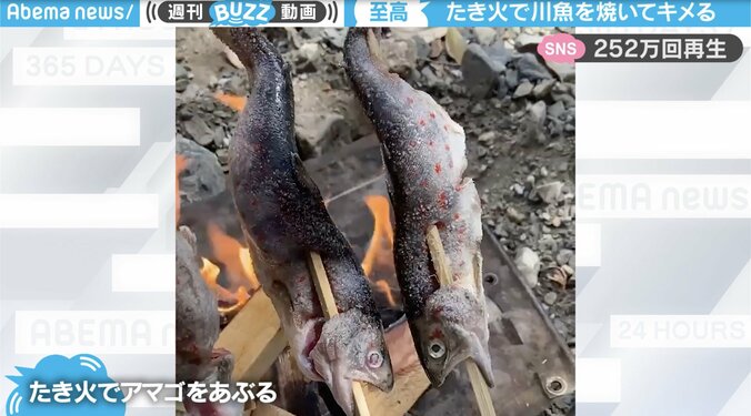 「釣った魚をその場で」が本当に“その場”過ぎて驚きの臨場感 たき火で川魚の極致に250万回再生 1枚目