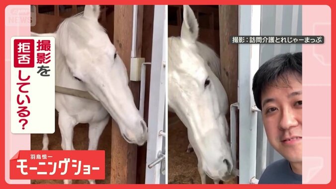 「撮らないで！」口先が器用なお馬さん　撮影すると…“扉ピシャリ”撮影拒否してる？ 1枚目