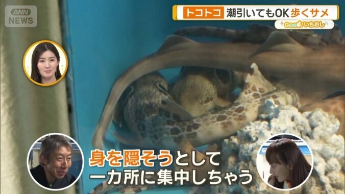 「意外と狭い隙間が好き」