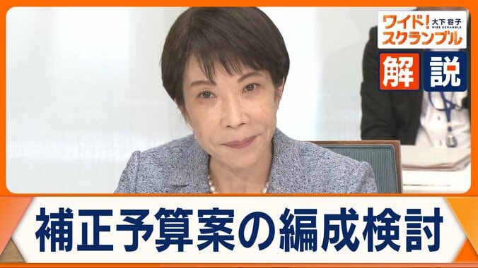 政府、補正予算案の編成を検討　高市総理が電気・ガス料金に支援策を指示　“ナフサショック”の実情は 1枚目