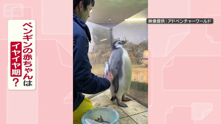 イヤイヤ期なの？